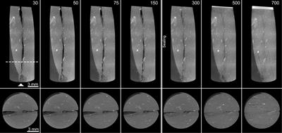 Frontiers | The Sealing Mechanisms of a Fracture in Opalinus Clay